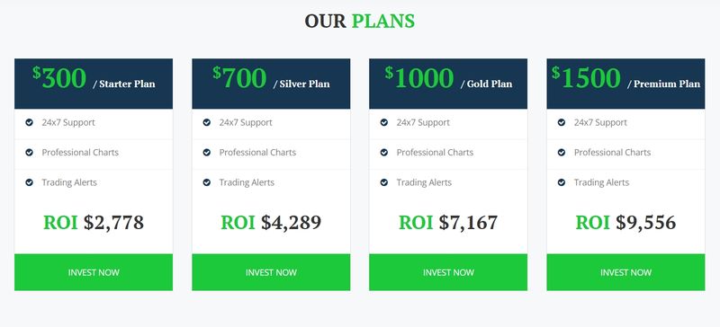 Capitaleverlife的账户类型