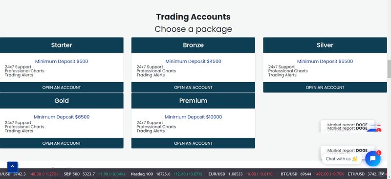 oponisglobalzone的账户类型