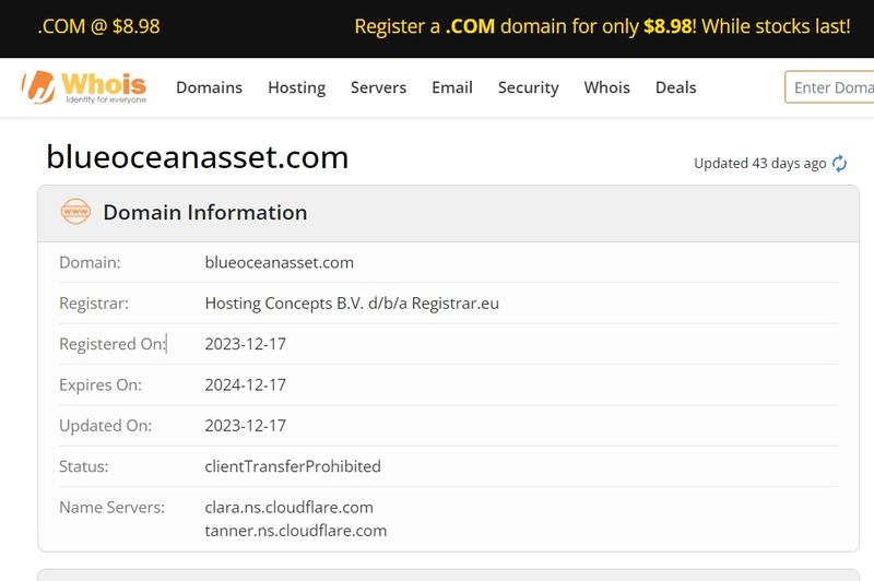 Blueocean Asset的企业背景1