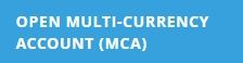 Multi-Currency Account