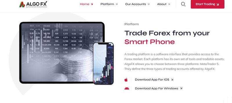 AlgoFX's Trading Software