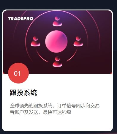 Tongseng Chain Ecological Community Copy Trading System