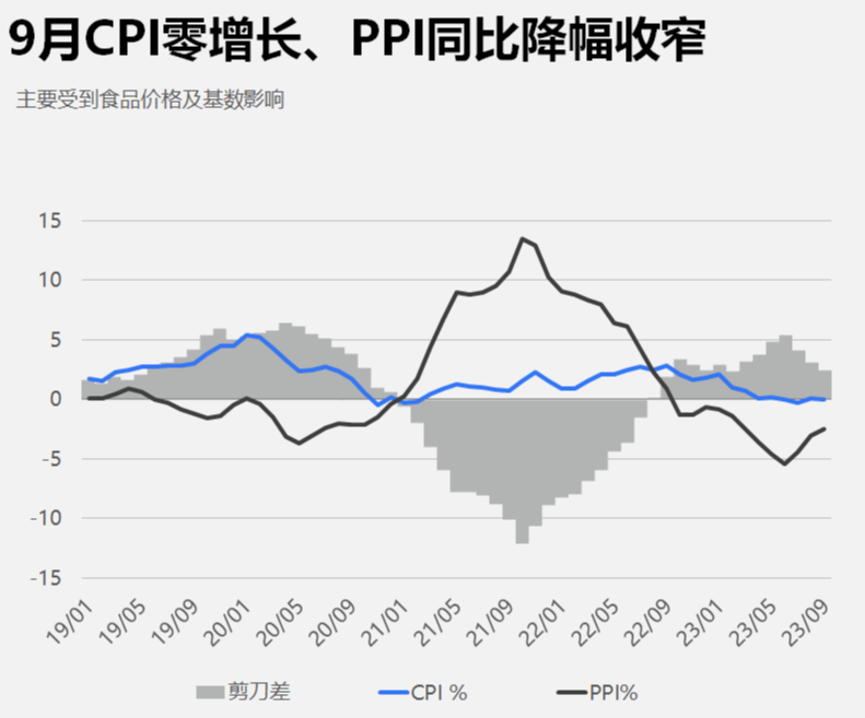 中国cpippi
