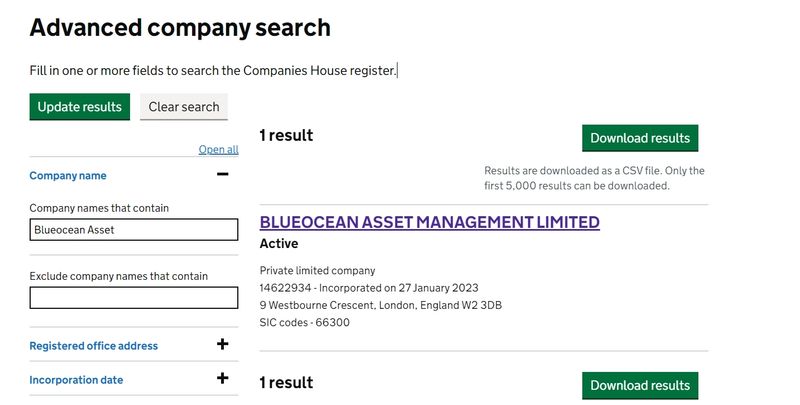 Blueocean Asset的企业背景2