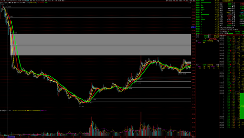 WPS图片(1)
