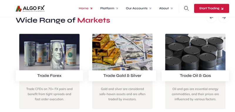AlgoFX's Trading Products: