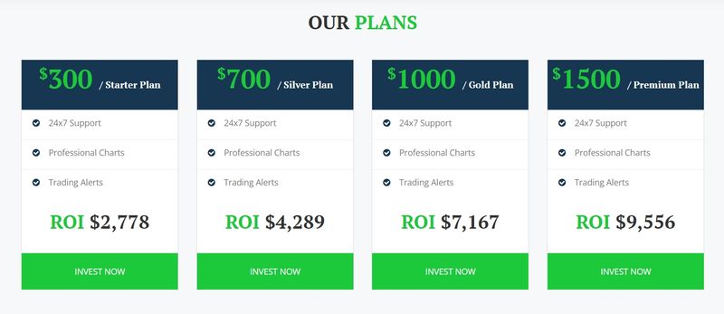 Fxzonetrade的账户类型