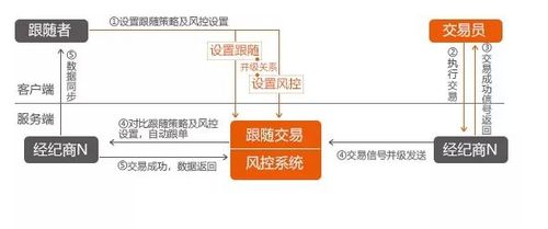 跟单4