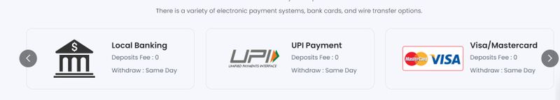 Rox Capitals' deposit and withdrawal methods