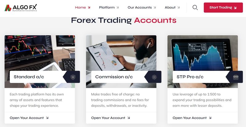 AlgoFX's Account Types