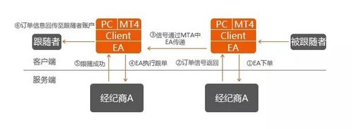 跟单
