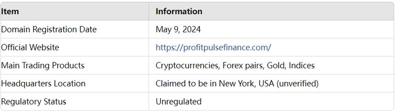 Basic Information about Profit Pulse Finance