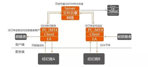 跟单3