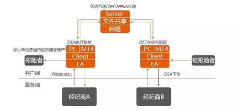 跟单2